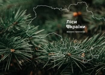 «Леса Украины» в I кв.-2026 вышли на рекордные объемы заготовки в 3 млн куб. м
