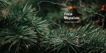 «Леса Украины» в I кв.-2026 вышли на рекордные объемы заготовки в 3 млн куб. м