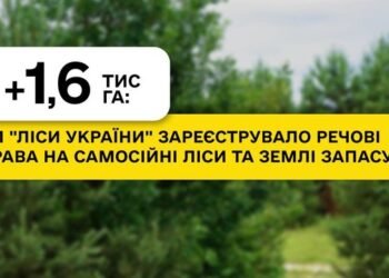 ГП «Леса Украины» с начала года оформило права на 1,6 тыс. га самосевных лесов
