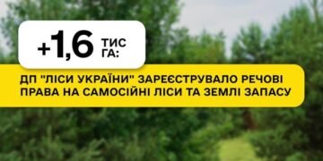 ГП «Леса Украины» с начала года оформило права на 1,6 тыс. га самосевных лесов