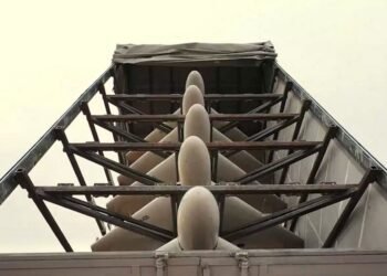 США обратились к Украине за помощью из-за атак «Шахедов»