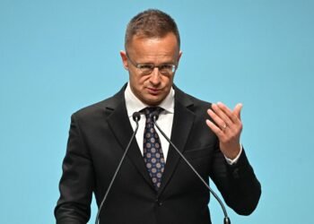 Сийярто обвинил страны Балтии в том, что они «играют под дудку Зеленского»