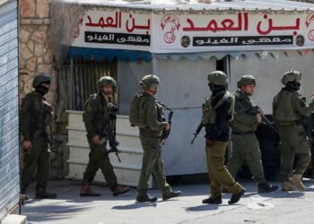 «Умеем действовать в тылу»: посол Израиля не исключил наземную операцию в Иране