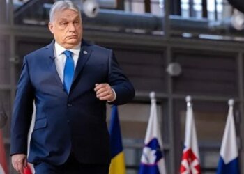 Орбан назвал себя с мышкой Путина: стенограмма телефонного разговора