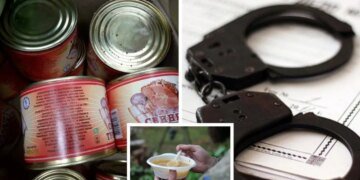 Миллиарды на плесени: как экс-партнёр Гринкевичей Александр Лапшин обкрадывает армию через Буский консервный завод