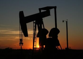 Bloomberg: Индия продолжит покупать много российской нефти, поскольку угроза санкций США угасает