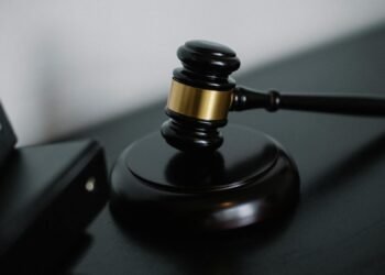 18 га земли возле Днепра должны вернуть общине – решение Верховного суда