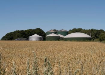 Украина планирует за четыре года выйти на производство 1 млрд куб. м биометана