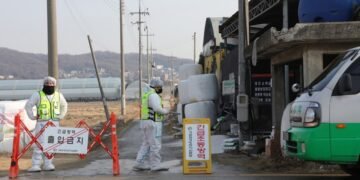 Массовый убой скота в РФ, вероятно, связан с новым штаммом ящура: его подтвердили в Китае