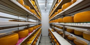 Сумской феномен. Как крафтовые сыроварни растут рядом с Lactalis