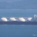 Reuters: РФ добавила к своему флоту четыре LNG-танкера