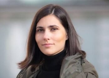 «Датская» модель покупки оружия для Украины под угрозой из-за НДС и ввозной пошлины – депутат