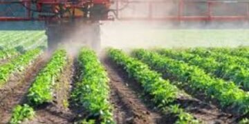 Экспорт удобрений из Польши в Украину растет из-за дефицита газа и повреждения украинских заводов