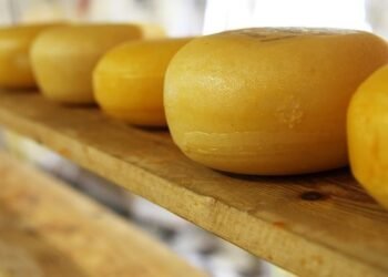 Производители сыра в Украине ожидают спада спроса и готовятся к трудностям с экспортом на Ближний Восток – аналитики