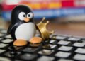 «Более 3,3 млн загрузок»: только что обновился Linux-альтернативный вариант Windows 11