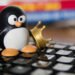 «Более 3,3 млн загрузок»: только что обновился Linux-альтернативный вариант Windows 11