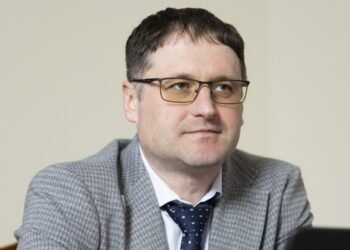 Роль евро постепенно повышается, но курсообразующей валютой пока остается доллар – замглавы НБУ