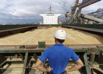 Украина просит Израиль о правовой помощи по судну с краденым зерном, — источники