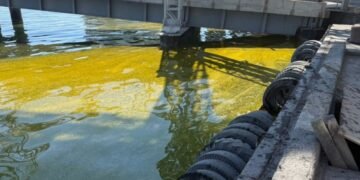 Из-за ударов РФ в порту Одесской области вылились тысячи тонн масла, в море — огромное пятно