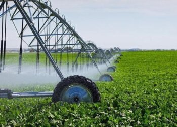 Алгоритм определения зон рискованного земледелия для предоставления господдержки аграриям обнародовало Минэкономики