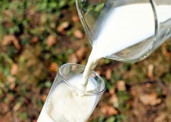 Излишек молочной продукции заставит украинских производителей снижать цены уже в ближайшее время – аналитики