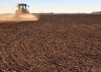 Посевная-2026: Темпы сева яровых зерновых за неделю ускорились почти в 1,8 раза, отставание от прошлого года сократилось до 15%