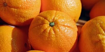 Украина, несмотря на потепление, не будет выращивать экзотические фрукты из-за критических зимних температур – мнение