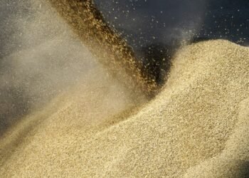 Египет дал обещание Зеленскому и хочет больше украинского зерна