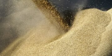 Египет дал обещание Зеленскому и хочет больше украинского зерна