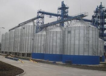 Чистая прибыль «Астарты» в 2025г упала в 4,2 раза при сокращении выручки на 23%