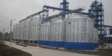 Чистая прибыль «Астарты» в 2025г упала в 4,2 раза при сокращении выручки на 23%