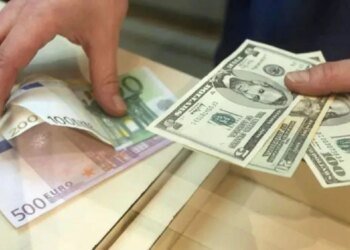 НБУ встановив курс валют на 20 травня: долар подорожчав