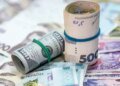 Долар майже за 44 гривні, євро дешевшає: НБУ встановив курс валют на 13 травня