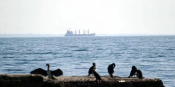 Из трюма в кузов: как блокада Ормузского пролива заставила судоходные гиганты пересесть на грузовики