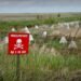 Украина наращивает фортификации на границе на фоне угрозы из Беларуси