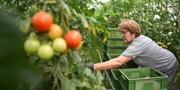 Почему Украина проигрывает торговую войну на собственном рынке и как это изменить: оценка эксперта