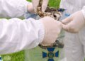 Россия атаковала Сумскую область дронами с обедненным ураном, — СБУ
