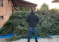 Сушил наркотик в гараже: на Закарпатье осудили мужчину за наркоплантацию дома