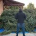 Сушил наркотик в гараже: на Закарпатье осудили мужчину за наркоплантацию дома