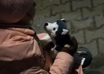 Из-за войны без вести пропали 2 365 детей, — данные полиции