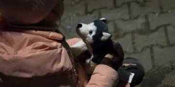 Из-за войны без вести пропали 2 365 детей, — данные полиции