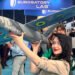 Український дрон-перехоплювач Dancer 4.5.0 зацікавив замовників із США та Азії