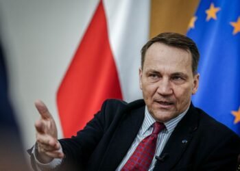 Сикорский предупредил, что загнанный в угол Путин может пойти на «что-то рискованное»