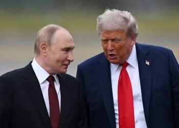 Путин и Трамп провели телефонный разговор: говорили о войне в Украине