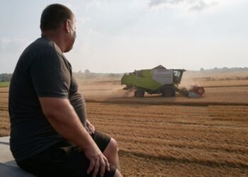 Землю купили или продали среди года: как правильно рассчитать земельный налог