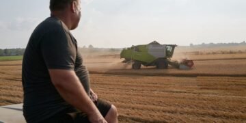 Землю купили или продали среди года: как правильно рассчитать земельный налог
