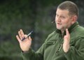 НАТО устарело, Украине нужны новые блоки, — Залужный