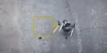 Поднимаются из засады, ориентируются на звук: «Флэш» предупредил о новых российских дронах-«ждунах». ВИДЕО
