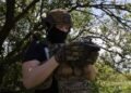ВСУ ударили по Крыму: поражены мосты, база катеров и объекты Черноморского флота РФ