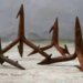 Российские войска могут применить новую тактику дистанционного минирования автодорог с помощью БПЛА